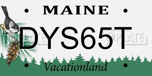 DYS65T Maine License Plate