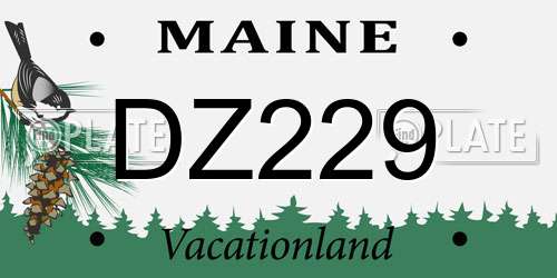 DZ229 Maine License Plate
