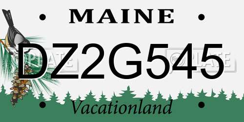 DZ2G545 Maine License Plate