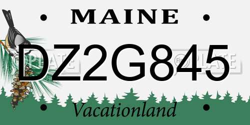 DZ2G845 Maine License Plate