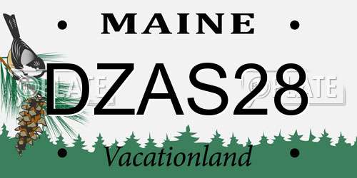 DZAS28 Maine License Plate