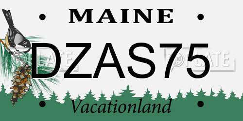 DZAS75 Maine License Plate
