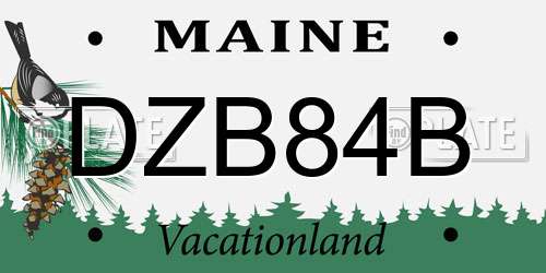 DZB84B Maine License Plate