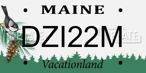 DZI22M Maine License Plate