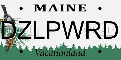 DZLPWRD Maine License Plate