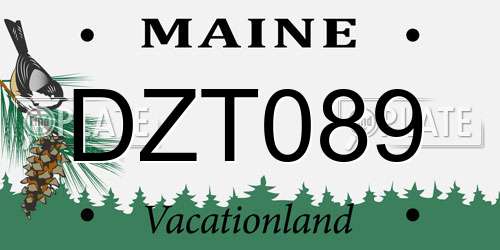 DZT089 Maine License Plate