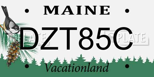 DZT85C Maine License Plate
