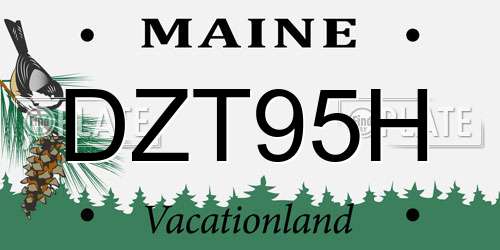 DZT95H Maine License Plate