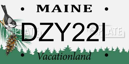 DZY22I Maine License Plate