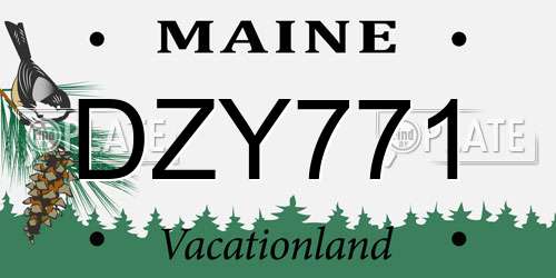 DZY771 Maine License Plate