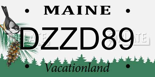 DZZD89 Maine License Plate