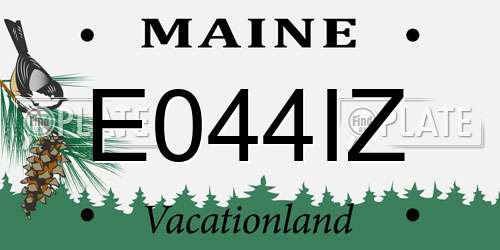 E044IZ Maine License Plate