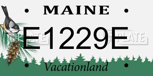 E1229E Maine License Plate