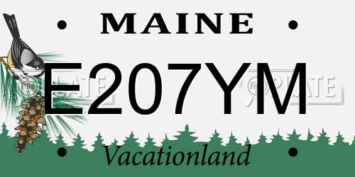 E207YM Maine License Plate