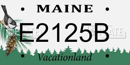 E2125B Maine License Plate