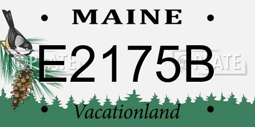 E2175B Maine License Plate