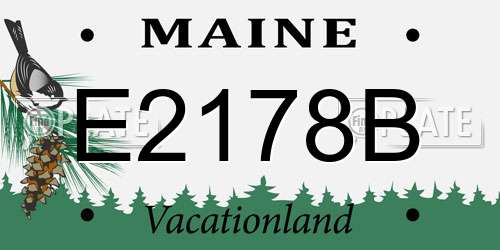 E2178B Maine License Plate