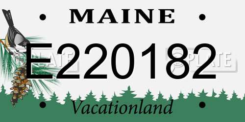 E220182 Maine License Plate