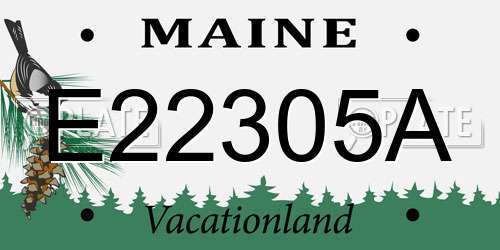 E22305A Maine License Plate