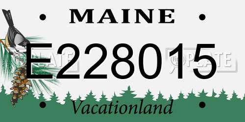 E228015 Maine License Plate