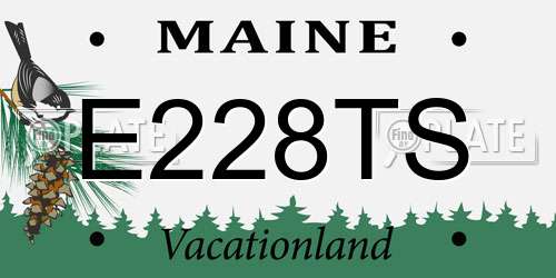 E228TS Maine License Plate