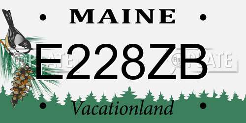 E228ZB Maine License Plate