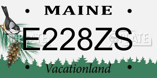 E228ZS Maine License Plate