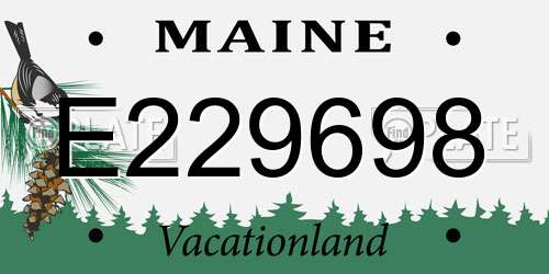 E229698 Maine License Plate