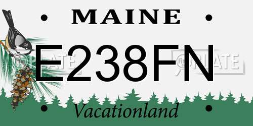 E238FN Maine License Plate