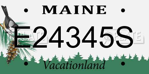 E24345S Maine License Plate