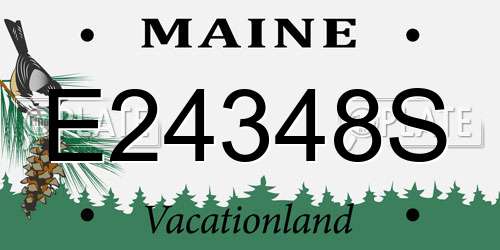 E24348S Maine License Plate