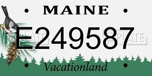 E249587 Maine License Plate