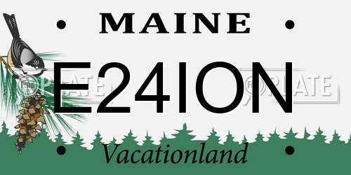 E24ION Maine License Plate