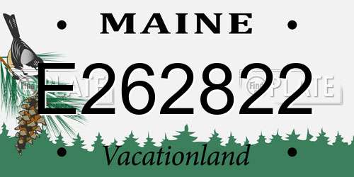 E262822 Maine License Plate