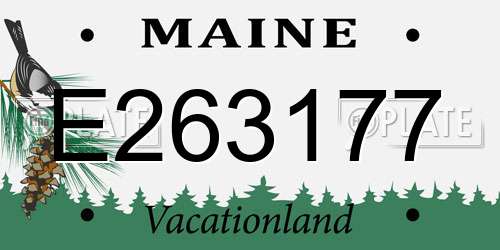 E263177 Maine License Plate