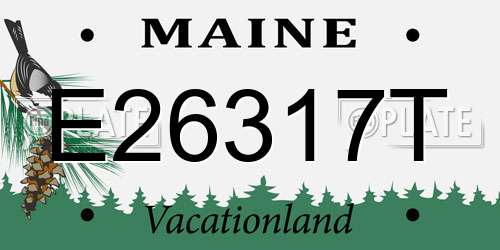 E26317T Maine License Plate