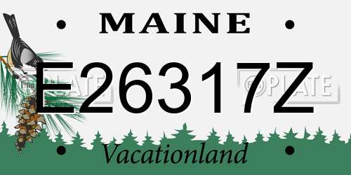 E26317Z Maine License Plate