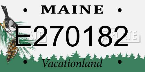 E270182 Maine License Plate