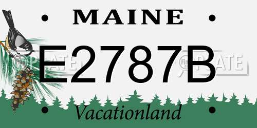 E2787B Maine License Plate