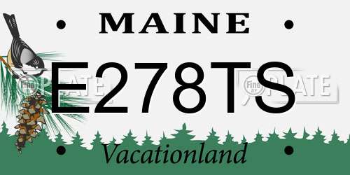 E278TS Maine License Plate