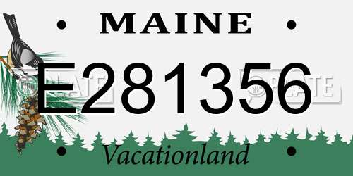 E281356 Maine License Plate