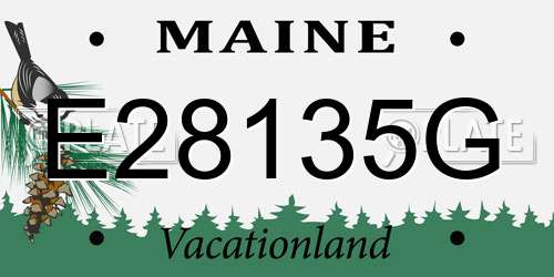 E28135G Maine License Plate