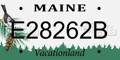 E28262B Maine License Plate