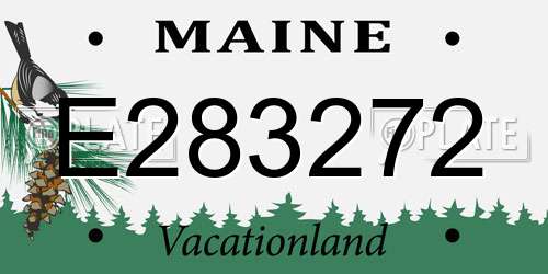 E283272 Maine License Plate