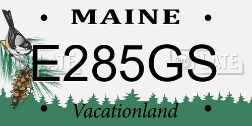 E285GS Maine License Plate
