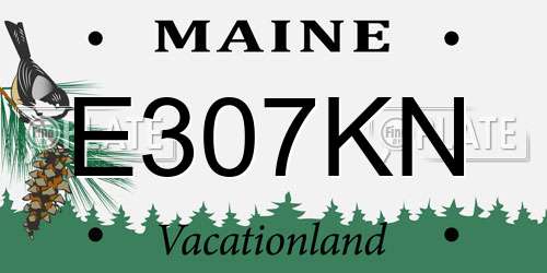 E307KN Maine License Plate