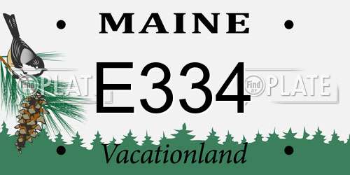 E334 Maine License Plate