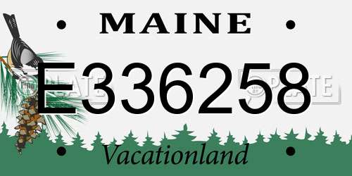 E336258 Maine License Plate