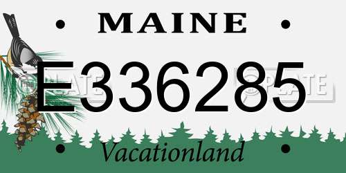 E336285 Maine License Plate