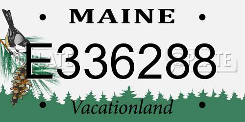 E336288 Maine License Plate